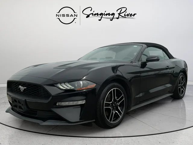 Used 2022 Black Ford EcoBoost Premium image 3