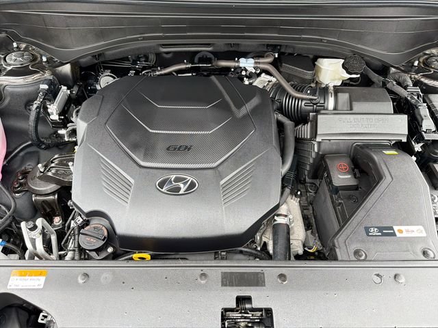 Used 2025 Black Hyundai Calligraphy image 20