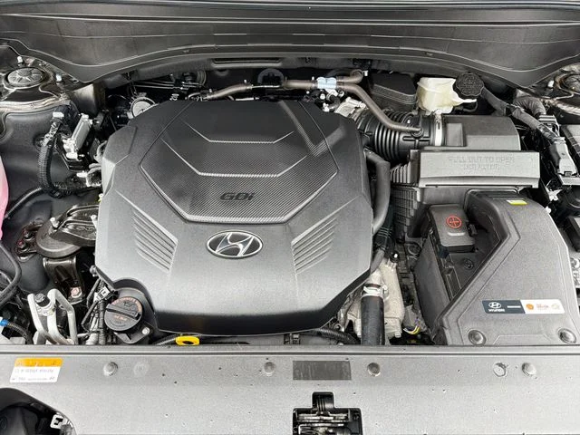 Used 2025 Black Hyundai Calligraphy image 20