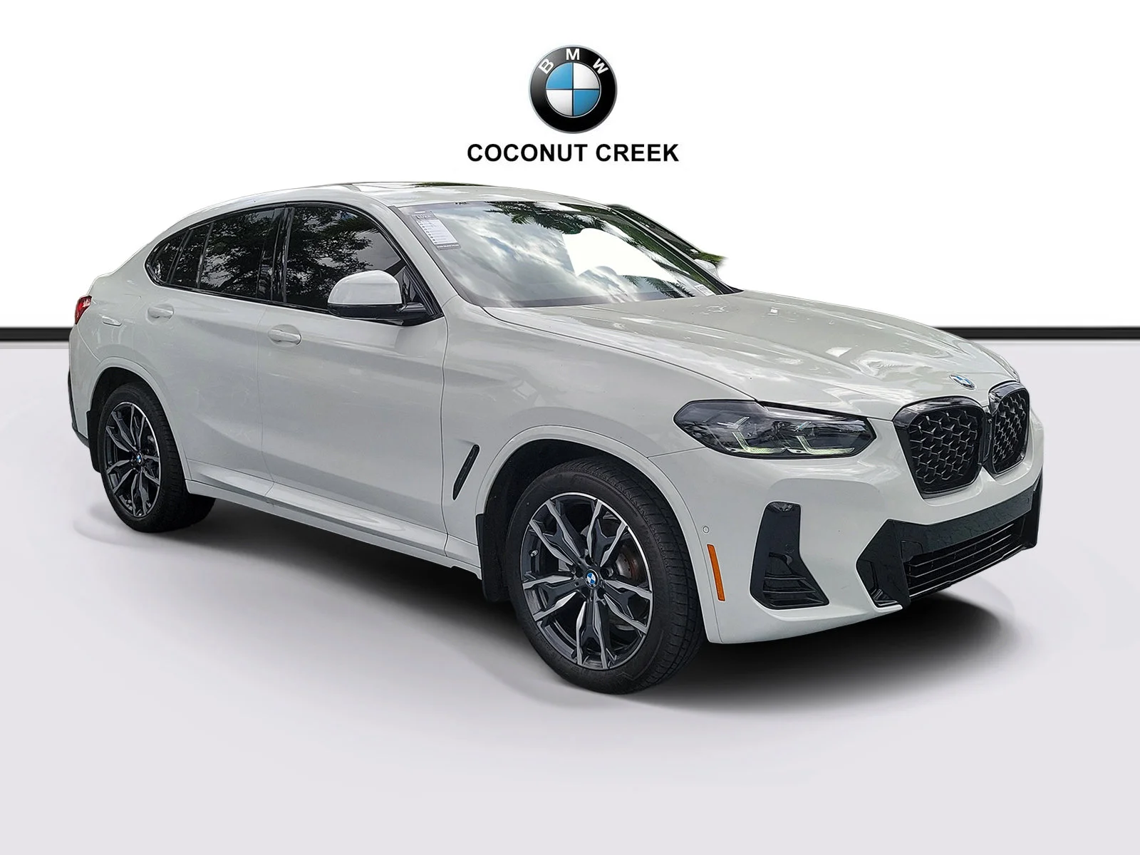 2025 BMW X4 xDrive30i's photo