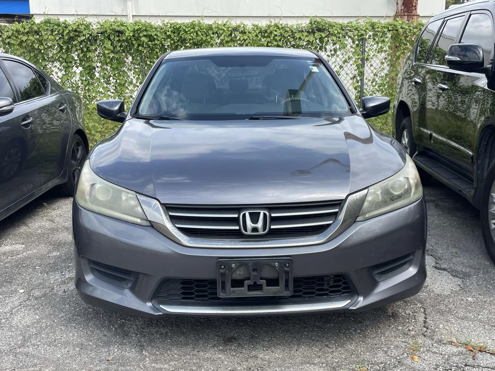 Used 2013 Gray Honda LX image 4