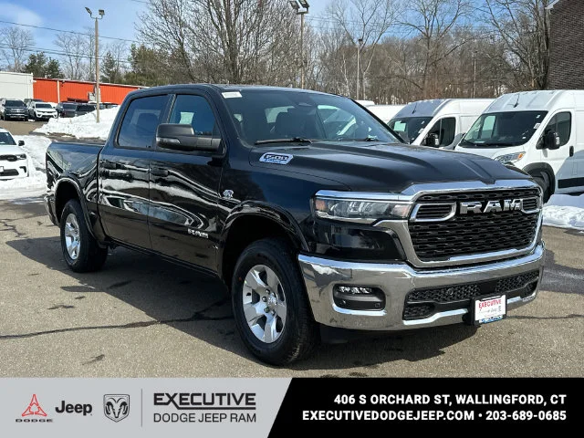 New 2026 Diamond Black Crystal Pearl-Coat Exterior Paint RAM Big Horn/Lone Star image 5