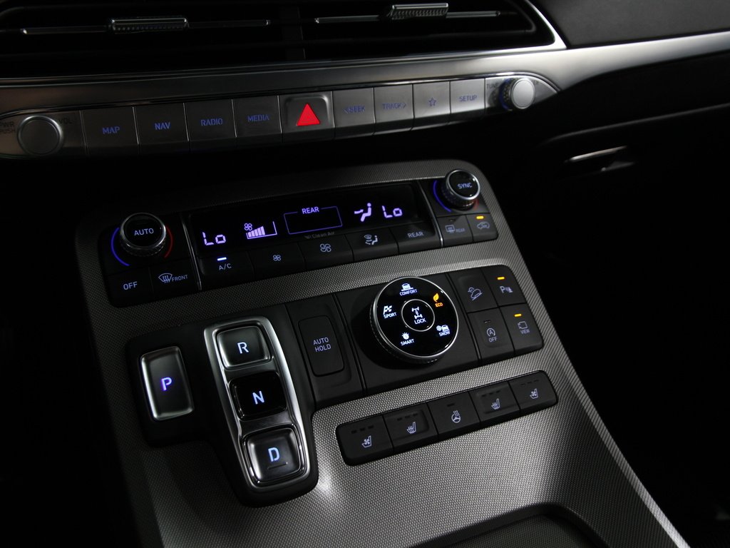 Used 2022 Rainforest Hyundai Calligraphy image 14