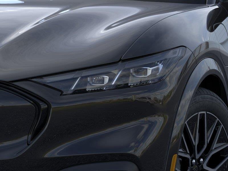 New 2026 Shadow Black Ford Premium image 9