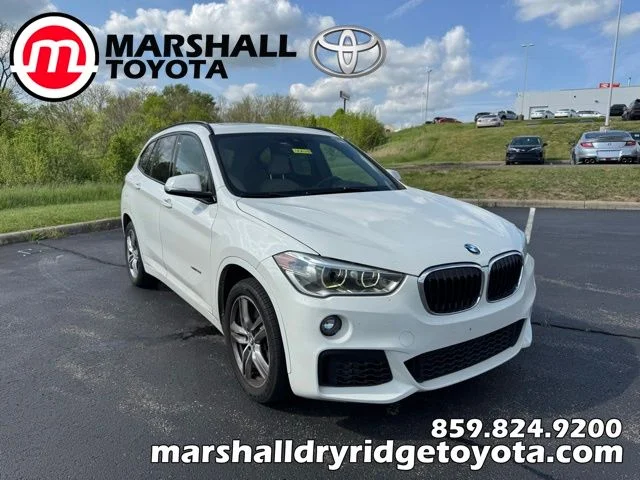 2018 BMW X1 sDrive28i's photo