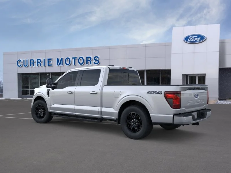 New 2026 Iconic Silver Metallic Ford LIFTED image 24