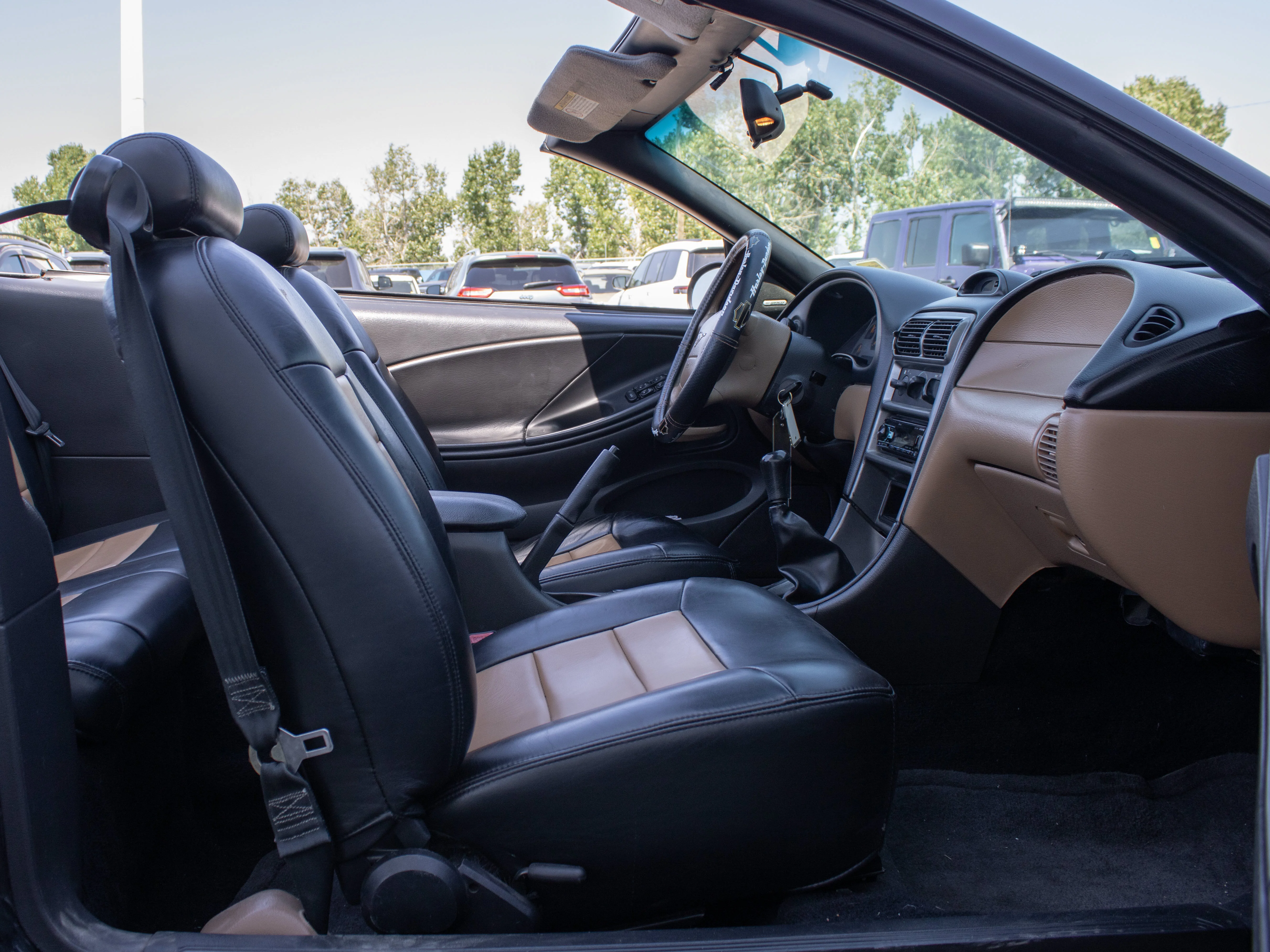 Used 1997 Black Ford GT* Convertible | 4.6L V8 | 5-Speed Manual | SVT Wheels | image 20