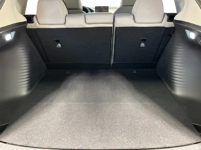 New 2027 Platinum White Pearl Honda LX image 23