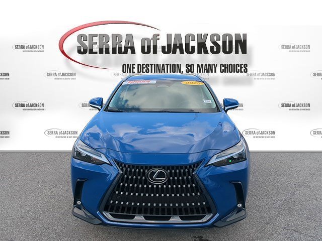 Used 2025 Grecian Water Lexus NX 250 image 3