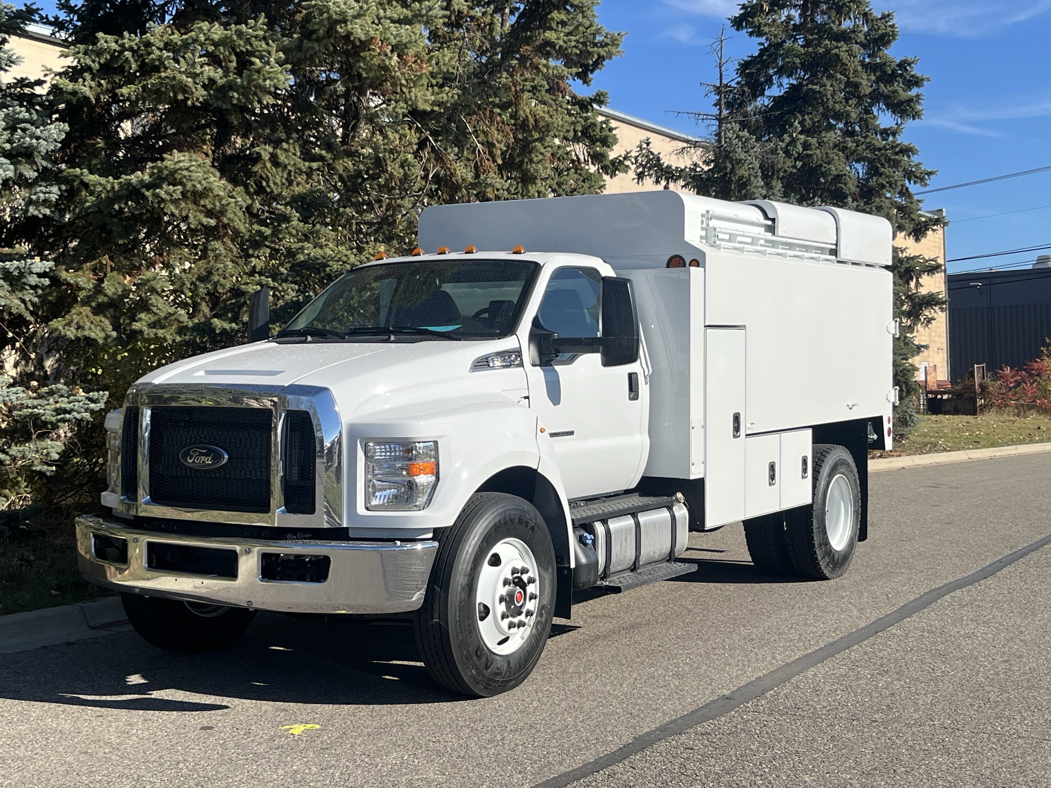 2025 Ford F-650's photo