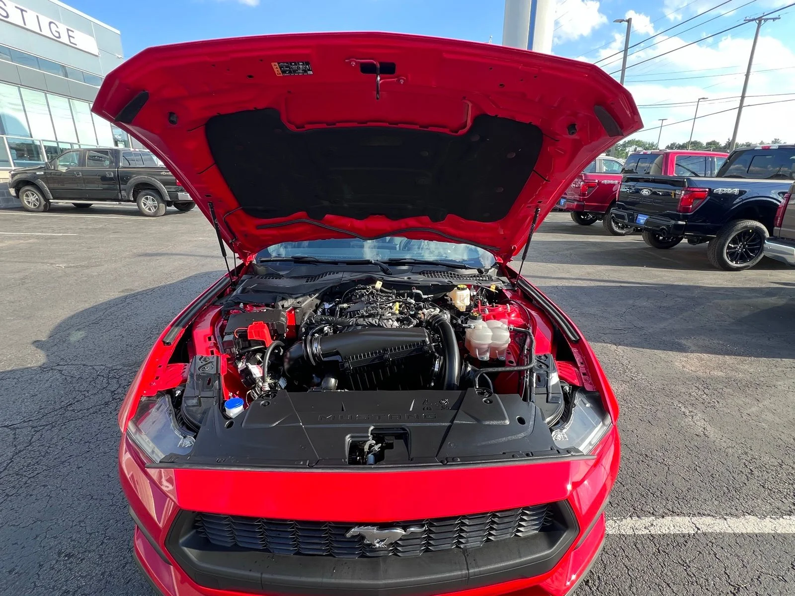 Used 2024 Red Ford EcoBoost image 4