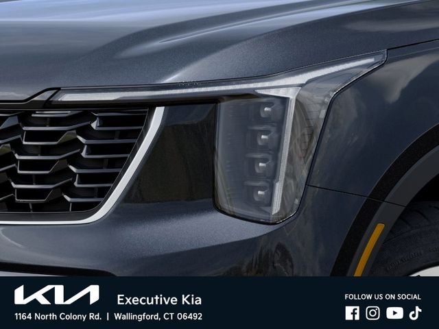 New 2026 Panthera Metal Kia S image 10