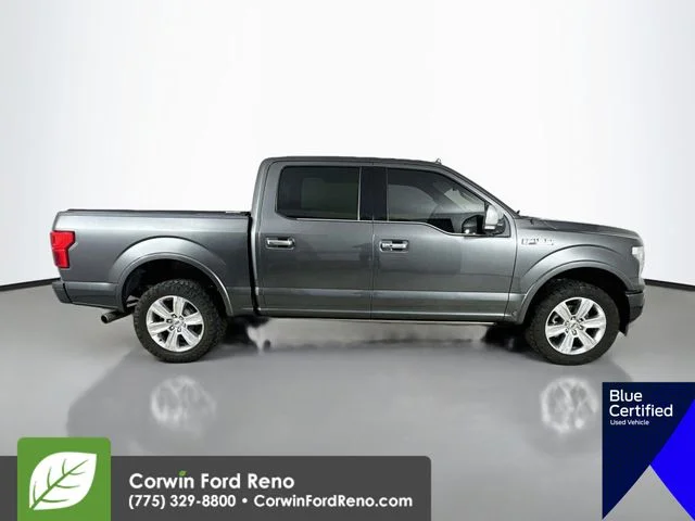 Certified Used 2019 Magnetic Ford Platinum image 11