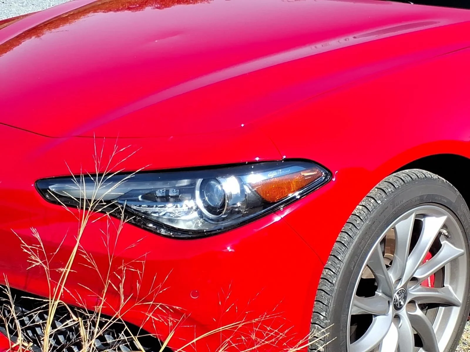 Used 2023 Alfa Rosso Alfa Romeo Ti image 2