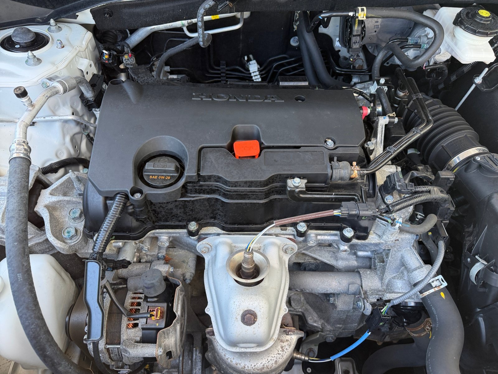 Used 2024 White Honda Sport image 7
