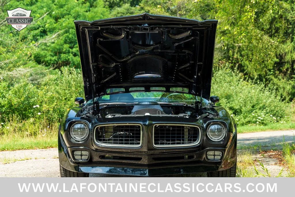 Used 1975 Black Pontiac Trans Am image 30