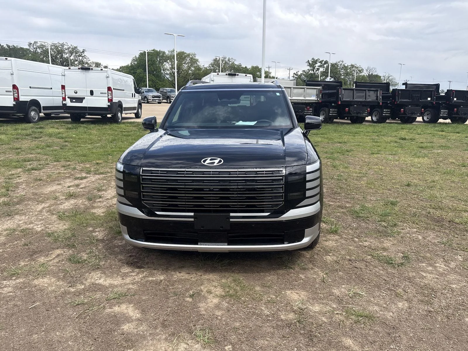 Used 2026 Abyss Black Pearl Hyundai Calligraphy image 4