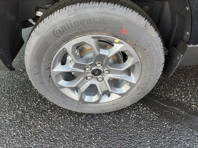 New 2026 Shadow Black Ford XLT image 10