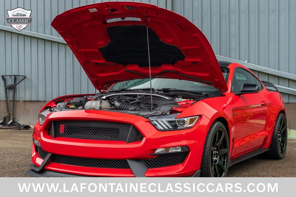 Used 2017 Red Ford Shelby GT350R image 20
