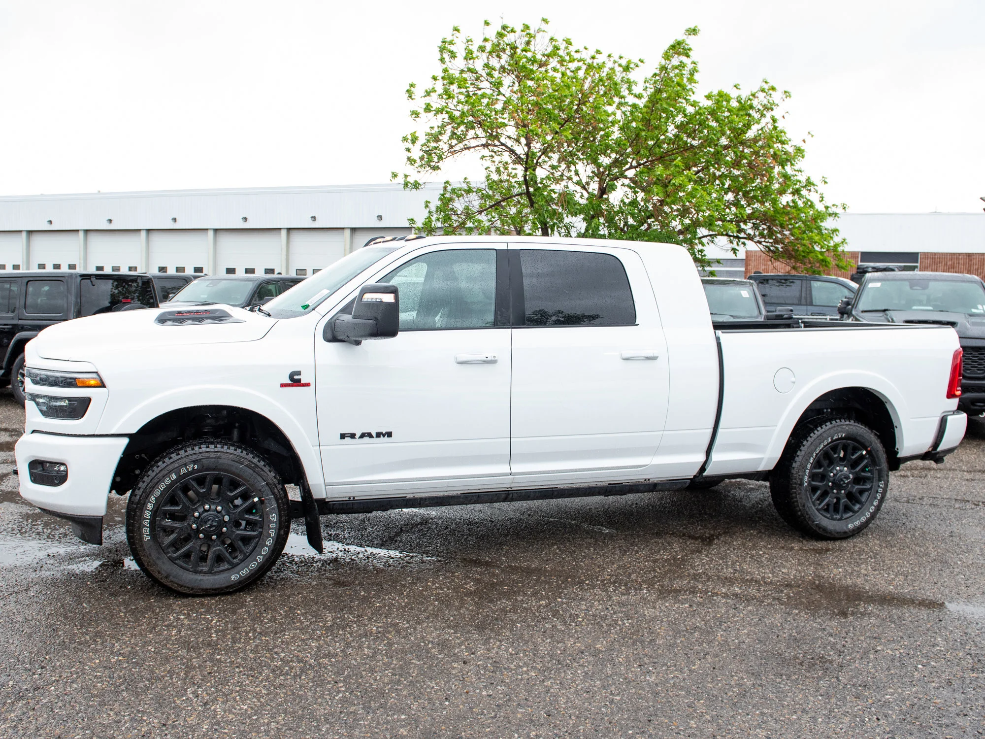 New 2026 White RAM Limited* image 2