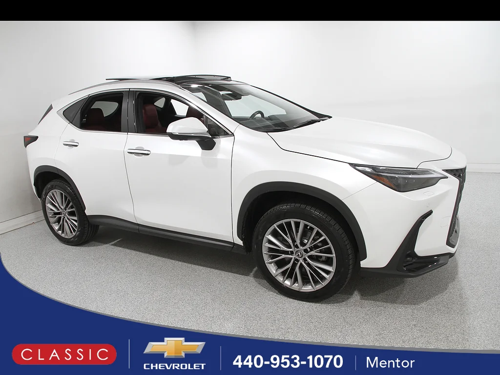 2023 Lexus NX 350 350 Luxury AWD's photo