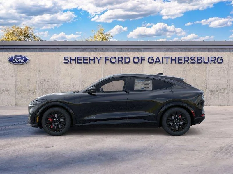 New 2025 Shadow Black Ford Premium image 3