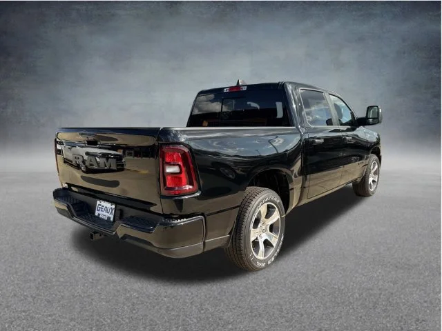 New 2026 Diamond Black Crystal Pearl-Coat Exterior Paint RAM Express image 20