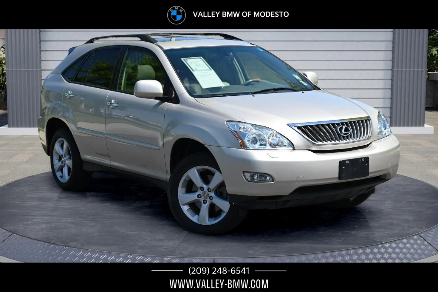 2008 Lexus RX 350