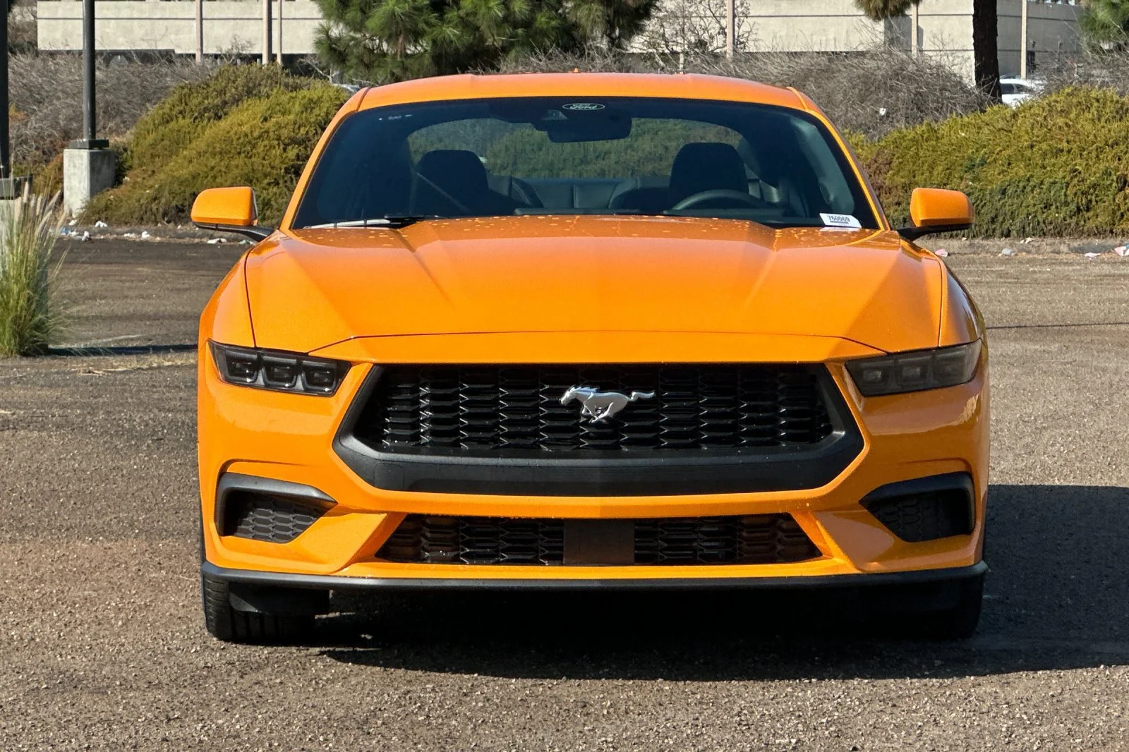 New 2026 Orange Fury Metallic Tri-coat Ford EcoBoost® Fastback image 5