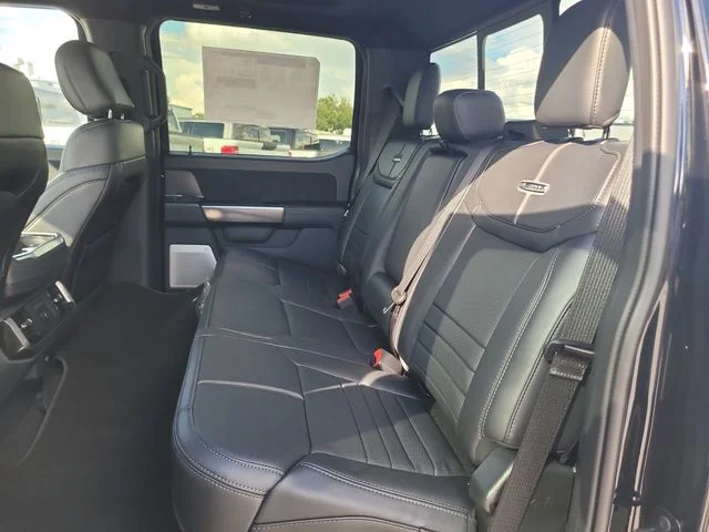 New 2026 Black Metallic Ford Platinum image 13