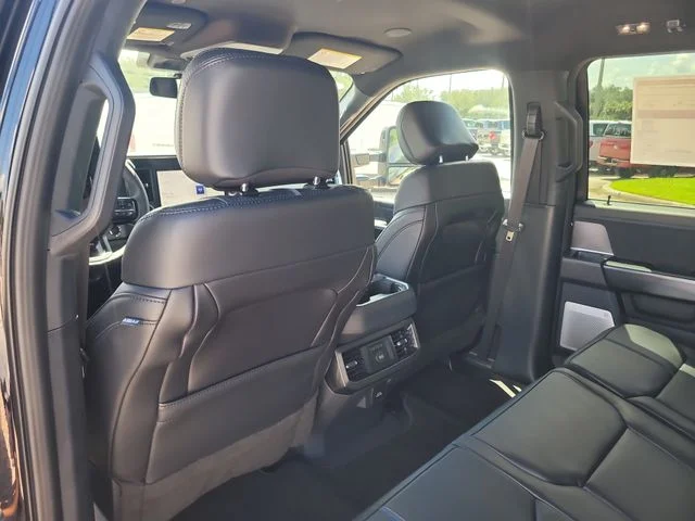 New 2026 Black Metallic Ford Platinum image 13