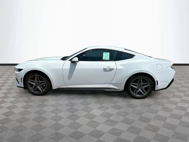 New 2026 Oxford White Ford EcoBoost image 3