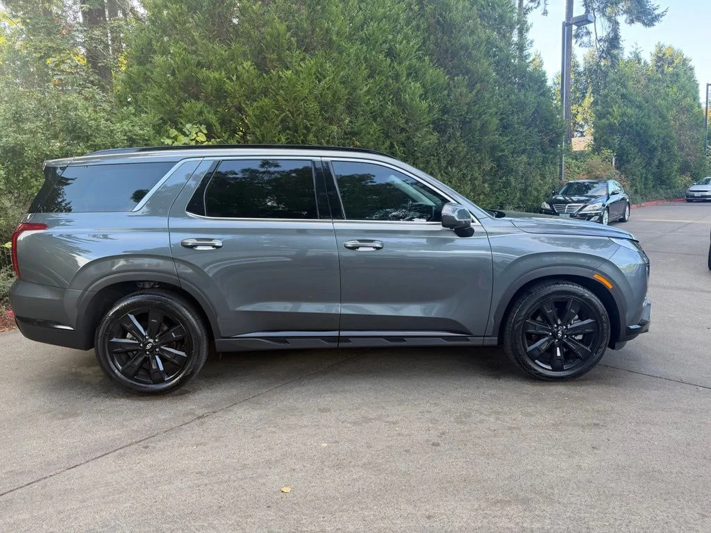 Used 2025 Steel Graphite Hyundai XRT image 2