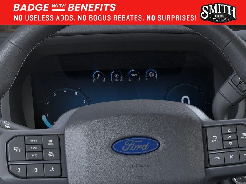 New 2025 Rapid Red Metallic Tinted Clearcoat Ford XLT image 14