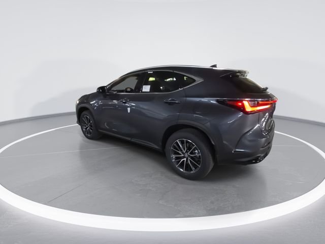 New 2026 Cloudburst Gray Lexus PREMIUM image 6