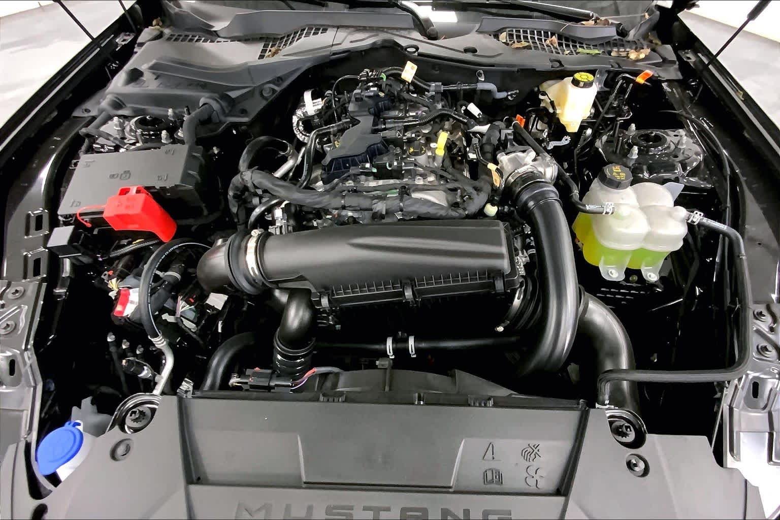 New 2026 Shadow Black Ford EcoBoost® Fastback image 15