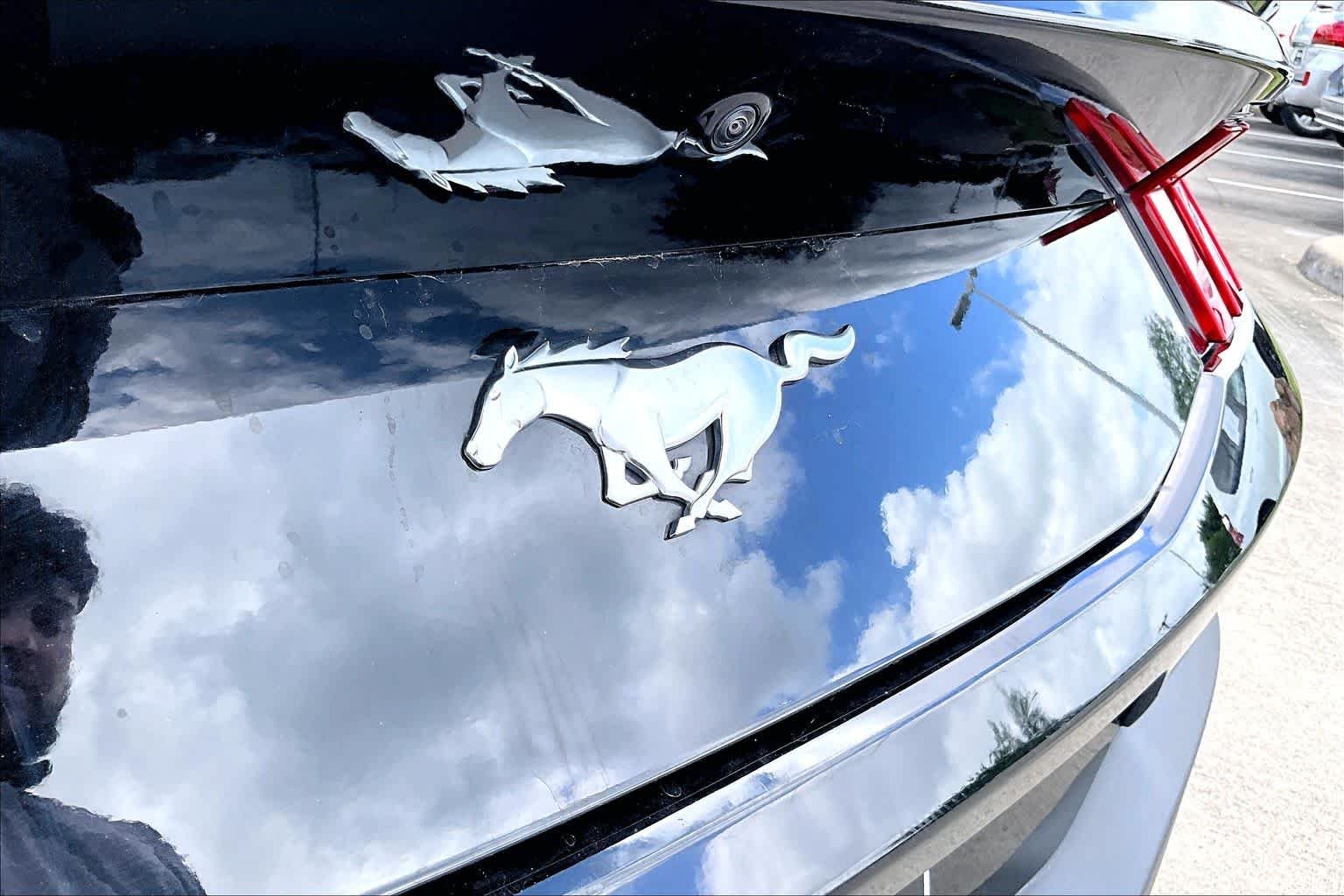 Used 2025 Shadow Black Ford EcoBoost Premium image 27