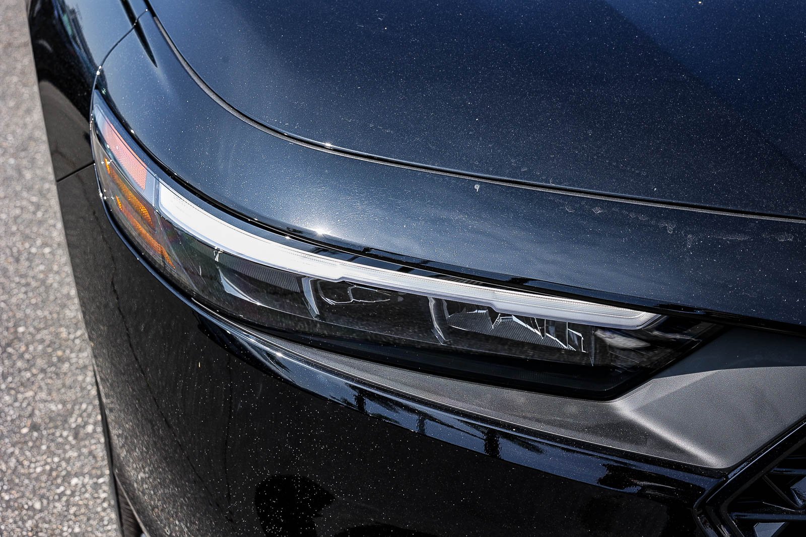 New 2026 Crystal Black Pearl Honda LX CVT image 11
