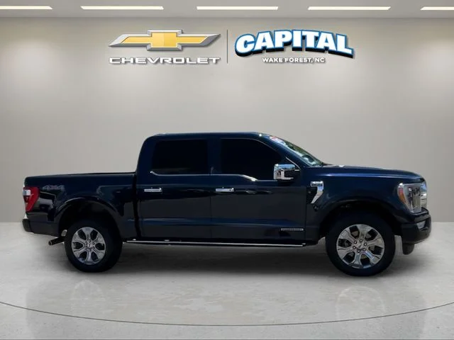 Used 2023 Blue Ford Platinum image 6