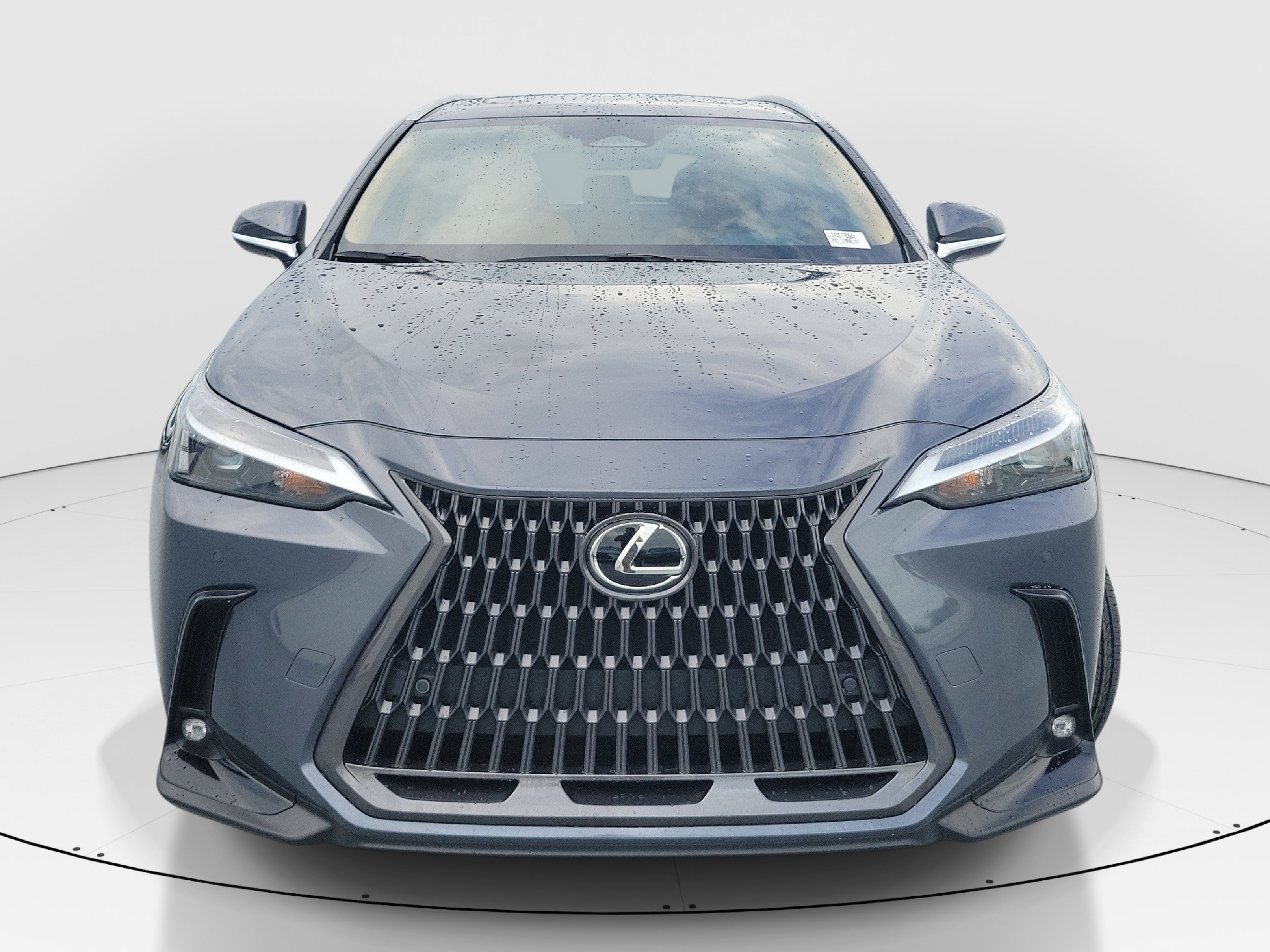 Used 2023 Gray Lexus 250 Premium image 2