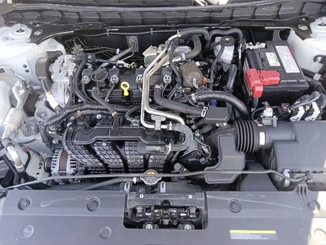 View 32