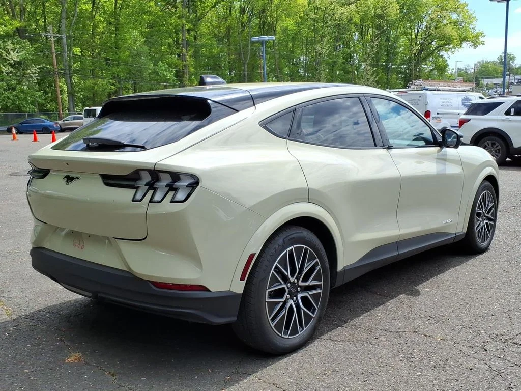 Used 2025 Beige Ford Premium image 6