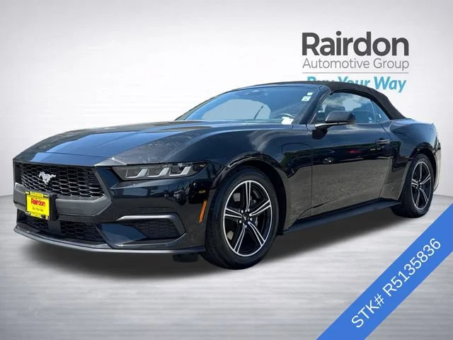 Used 2024 Shadow Black Ford EcoBoost Premium image 3