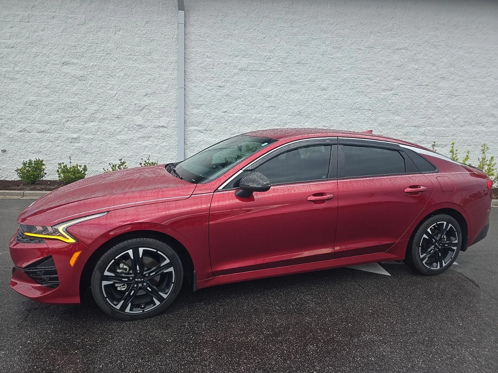 2024 Kia Optima GT-Line FWD's photo