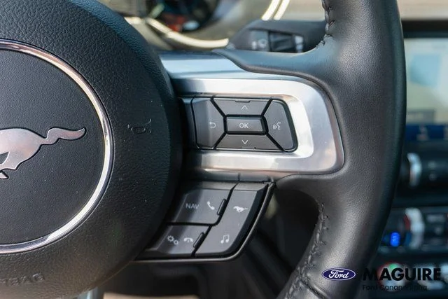 Used 2022 Silver Ford GT Premium image 23