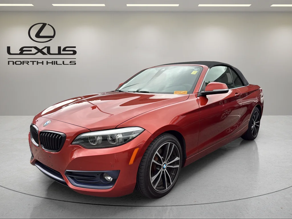 2020 BMW 2 Series 230i xDrive Convertible's photo