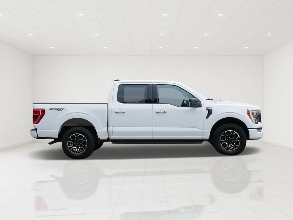 Certified 2023 Ford F-150 XLT with VIN 1FTEW1EP0PKF53049 for sale in White Bear Lake, Minnesota