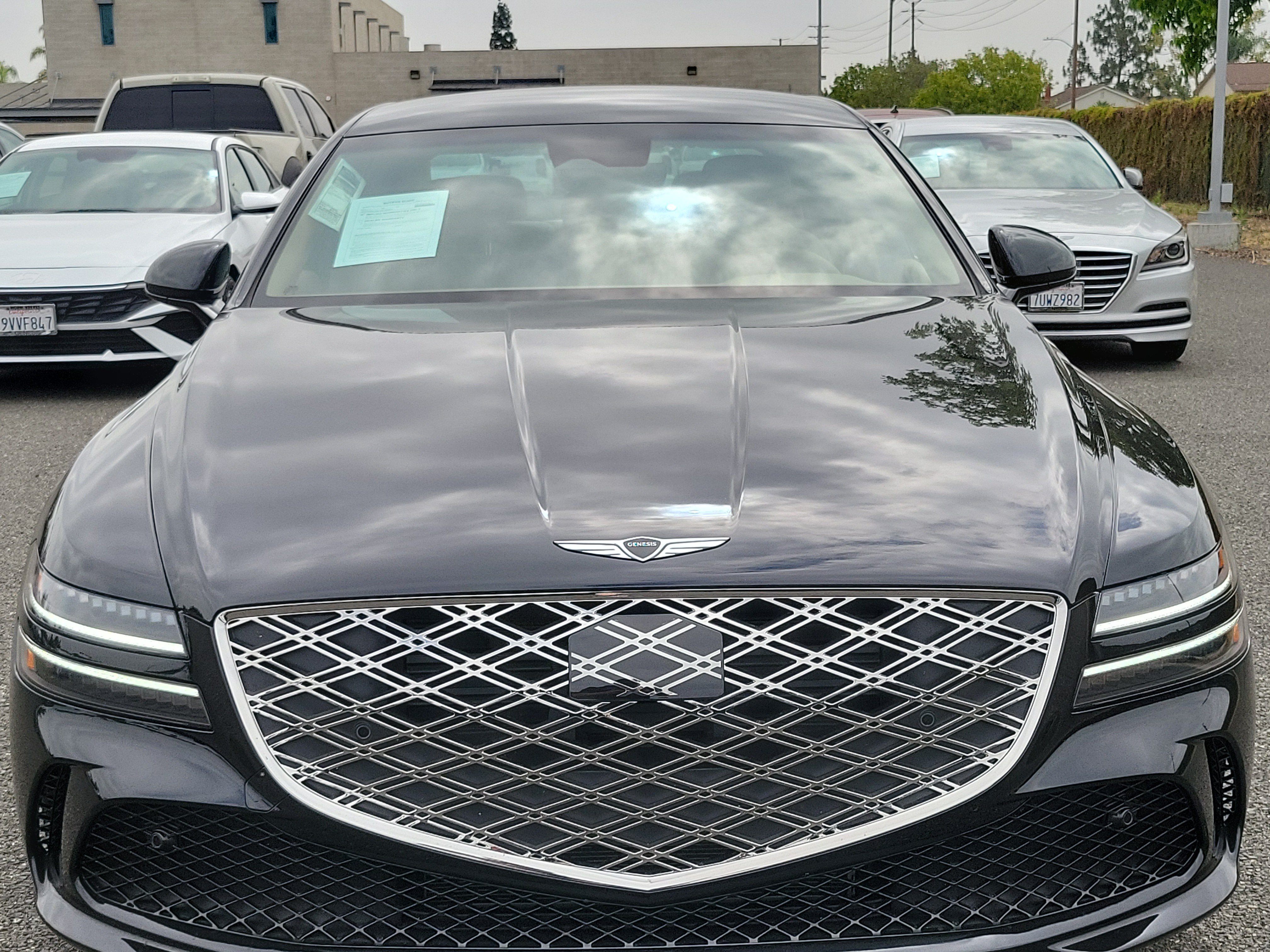 Certified Used 2026 Vik Black Genesis 2.5T image 6