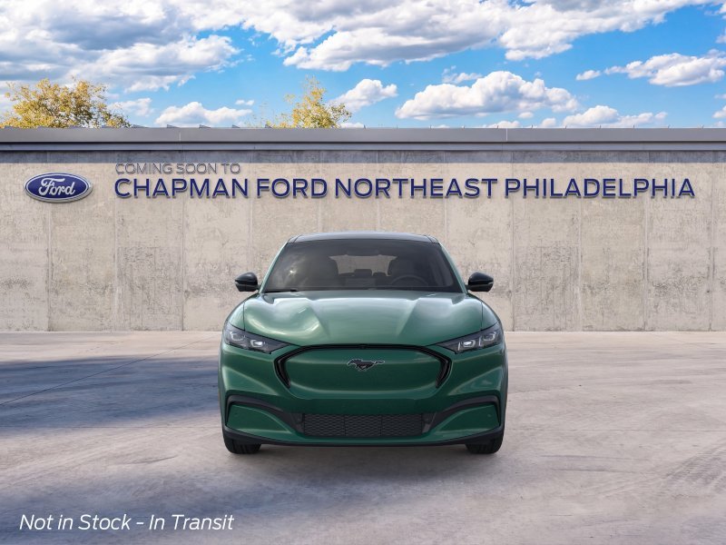 New 2026 Eruption Green Metallic Ford Premium image 6