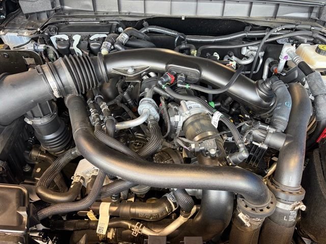 Used 2023 Black Ford Raptor image 28